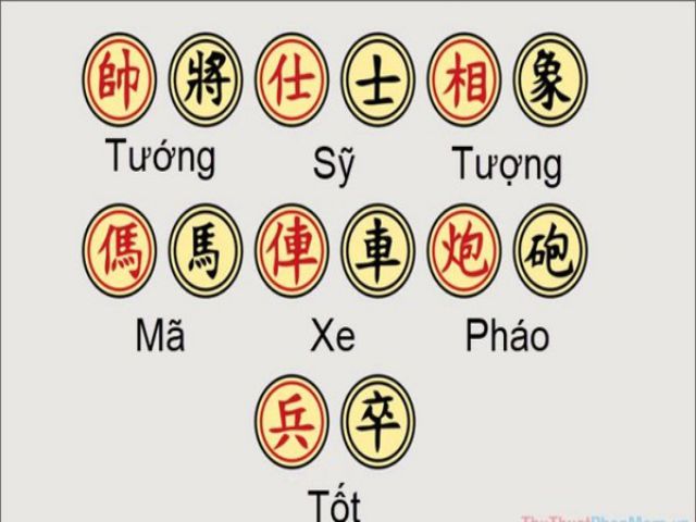 Cuộc sống tò mò