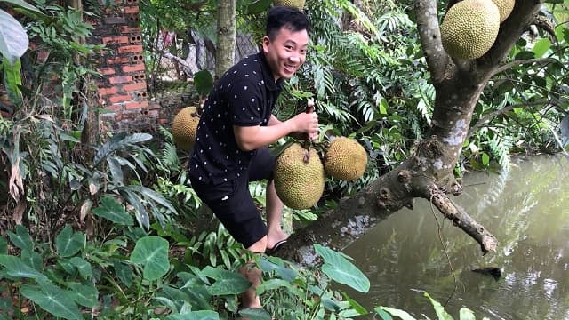 Nằm mơ thấy quả mít