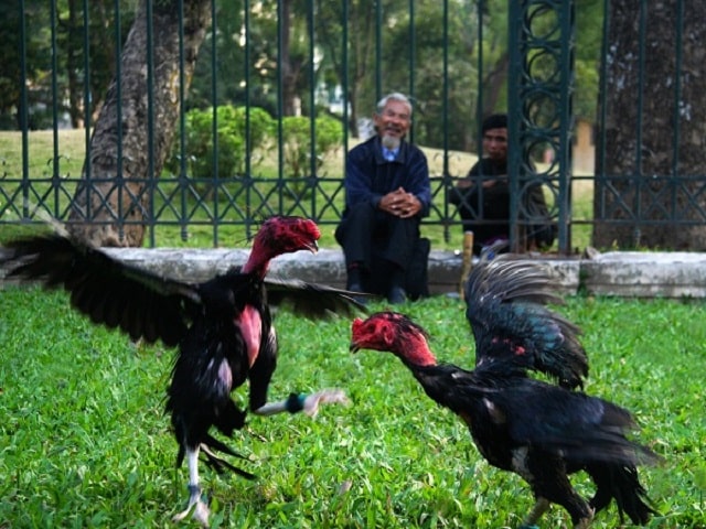 Thời gian thi đấu đầu tiên của đài phía nam là 15 phút 