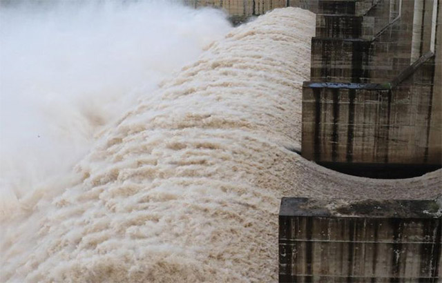 Tôi thấy mình bị cuốn vào giấc mơ của mình