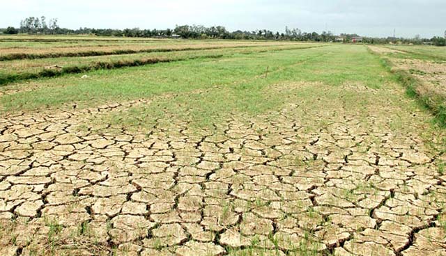 Nằm mơ thấy mất mùa