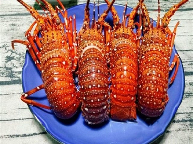 Đánh đề con gì khi mơ thấy ăn tôm hùm