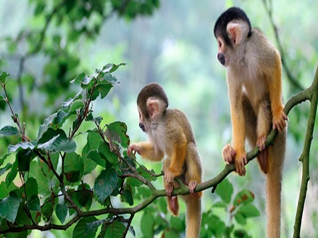 Đàn ông thay đổi khi