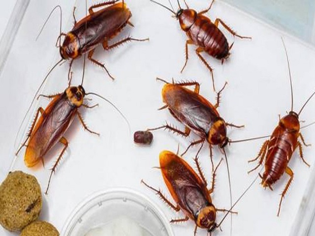 vì vậy trên thực tế