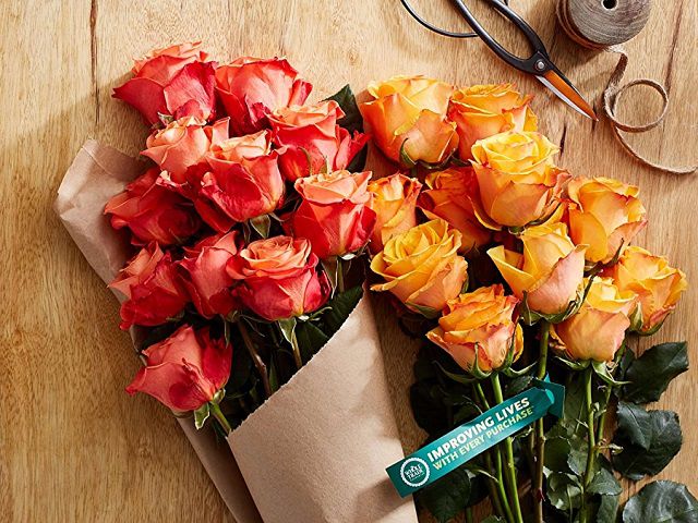 Hoa hồng tươi xuất hiện trong giấc ngủ