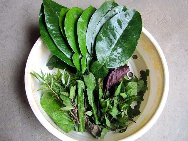 hét lên giúp tôi khi