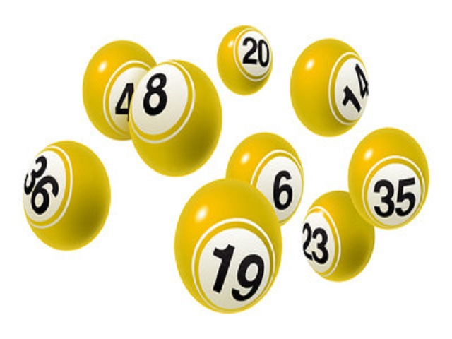 số dơi chính xác nhất