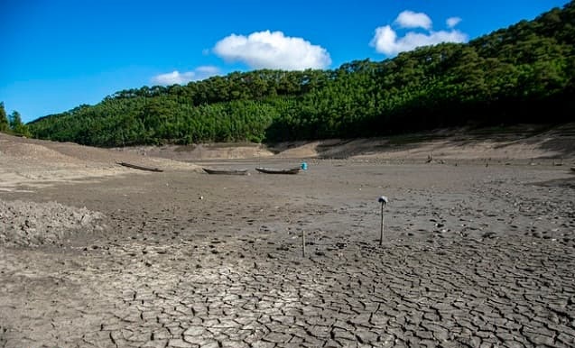 Giấc mơ của Hồ cạn