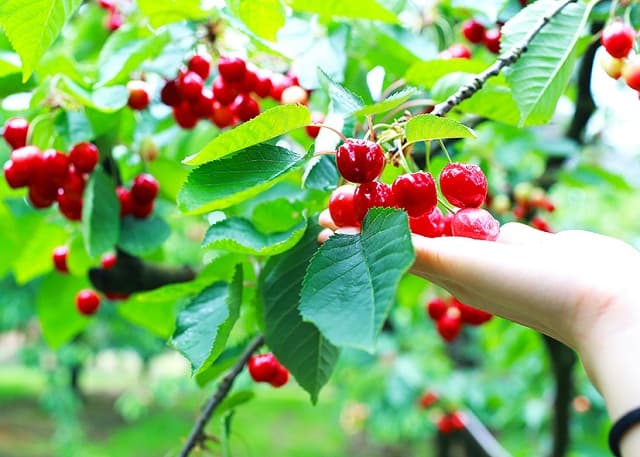 Nam Demon thay hai hot girl