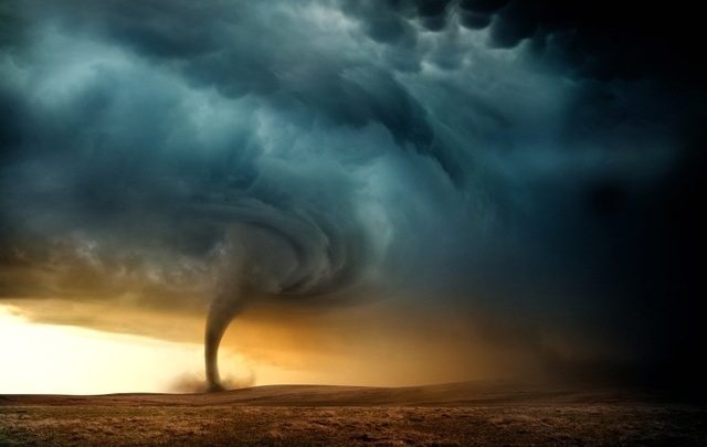 Giấc mơ lốc xoáy 