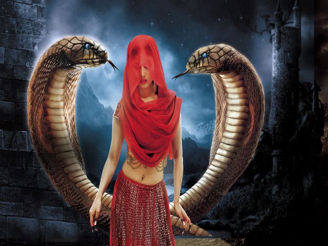 Tên của cơ thể nam giới là gì?