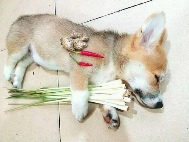 Bảo mật cho đây là khâu đầu tiên được nhiều người sử dụng