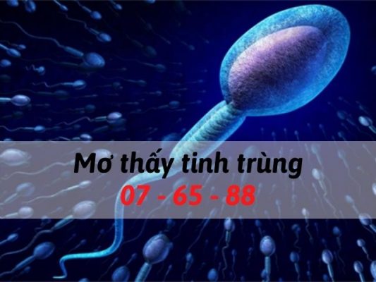 Nằm mơ thấy tinh trùng