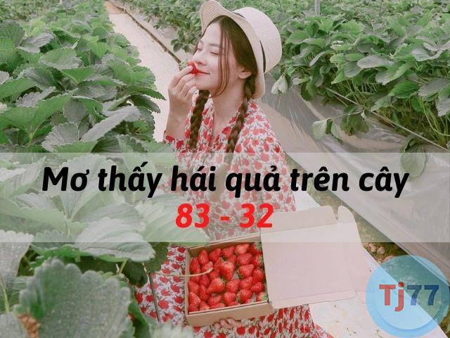 mơ thấy hái quả trên cây