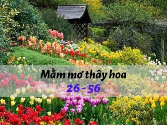 giấc mơ thấy hoa