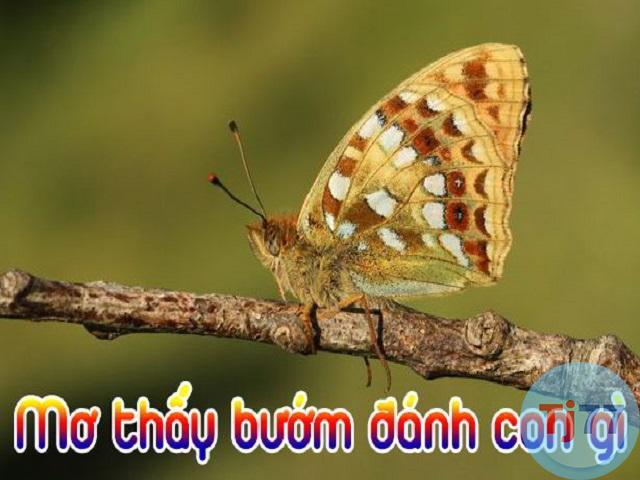 số đề con bướm