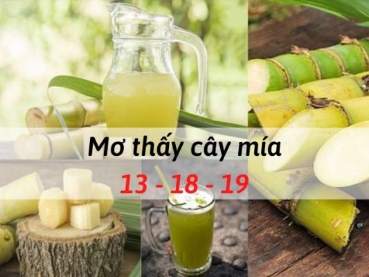 Nằm mơ thấy cây mía thì đánh số gì