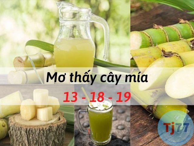 Nằm mơ thấy cây mía thì đánh số gì