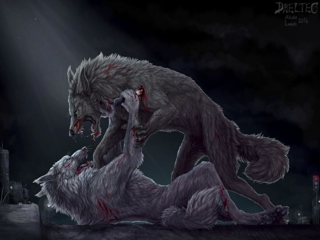 Nhân vật được gọi vào ban đêm trong phép thuật rạng đông