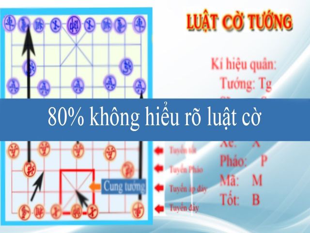 Hiện nay, <span class='marker'>đa dạng</span> người chưa nắm vững luật thi đấu cờ Tướng