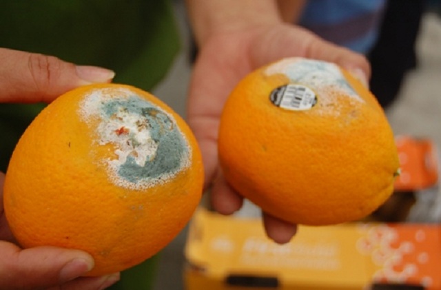 Mơ thấy cam bị thối