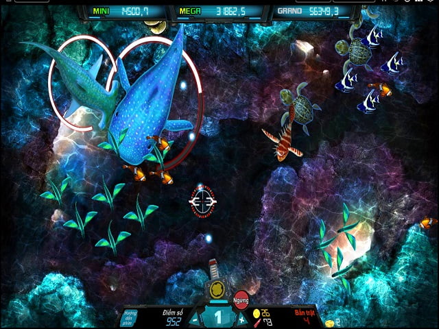 Con mèo của tôi chọn tiền 