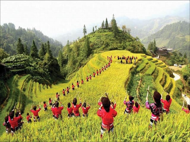 Thu hoạch thu hoạch của nhân viên đã được thay đổi