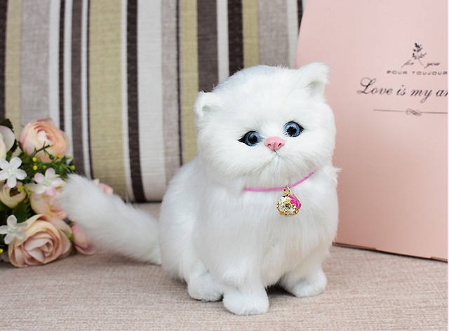 Nằm mơ thấy con mèo con màu trắng