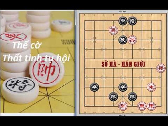 the co that tinh tu hoi voi nhieu cam bay va lua loc 