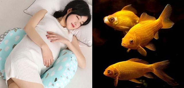 Bà bầu mơ thấy cá chép 