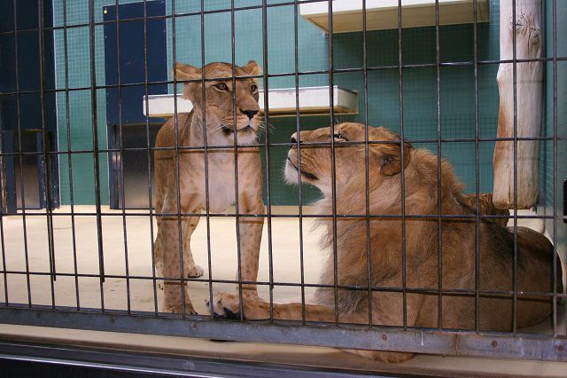 Tên đã thay đổi là gì?