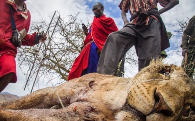 Khoảng thời gian là từ đầu