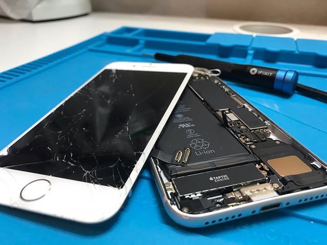 Mengpo đã đánh con gì trên điện thoại?