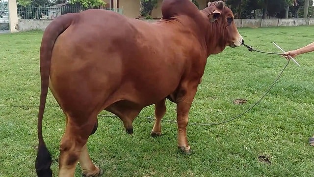 Đừng thay đổi bảng