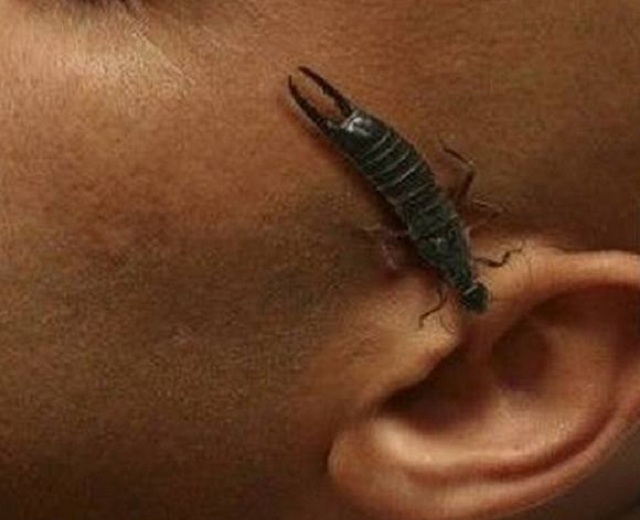 Nanmo thay thế trường trung học cơ sở