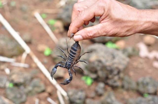 Mọi người tên là gì