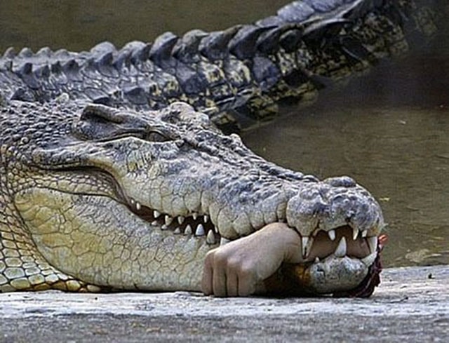 Nam Mo thay thế nghỉ việc