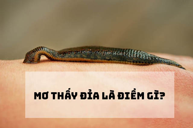 thay đổi địa chỉ