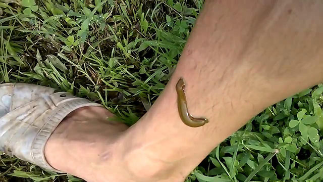 Thay đổi địa chỉ nam