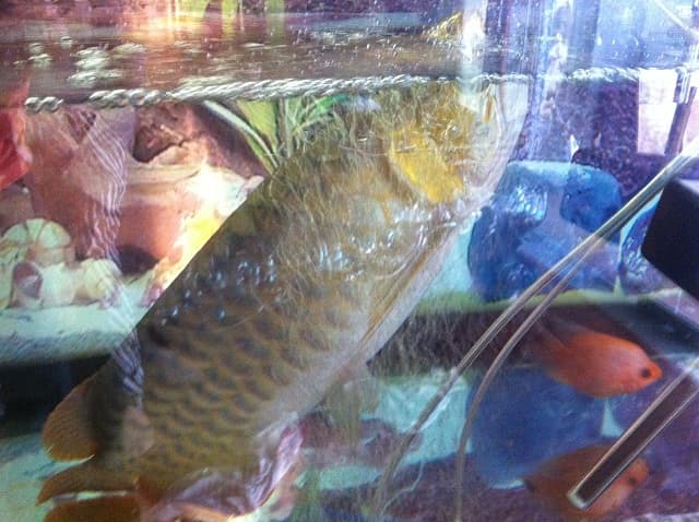 Những thay đổi của nam giới ở trẻ sơ sinh