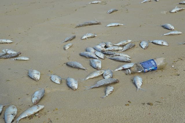 Thay đổi trên bề mặt