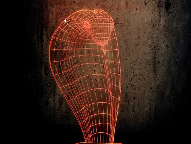 mơ rắn hổ mang màu đỏ