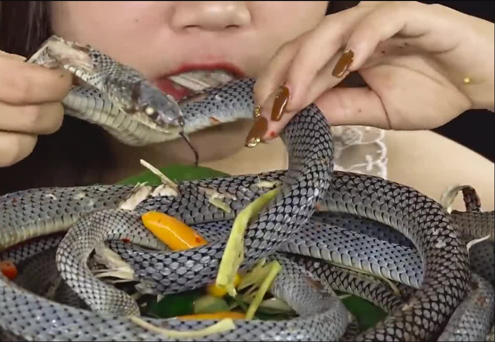 Nằm mơ thấy người khác ăn thịt rắn