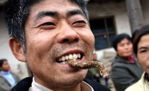 Mơ thấy ăn thịt rắn sống