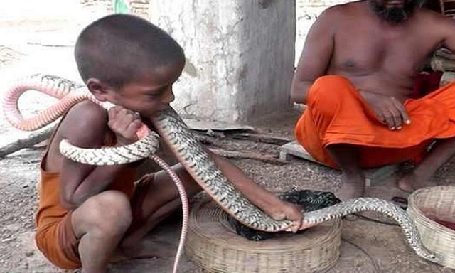 Nằm mơ thấy rắn quấn cổ