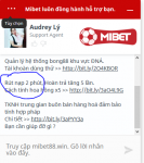Vạch trần nhà cái Mibet lừa đảo hàng trăm triệu đồng 44