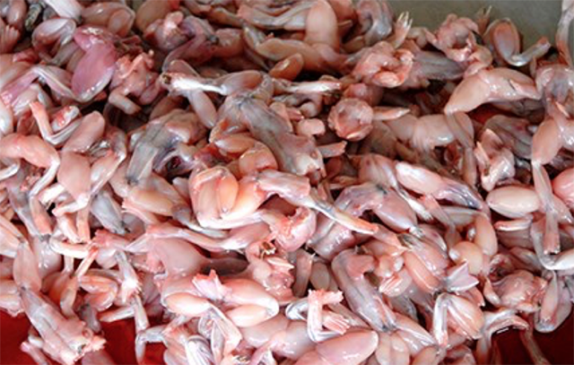 So sánh nó với coc