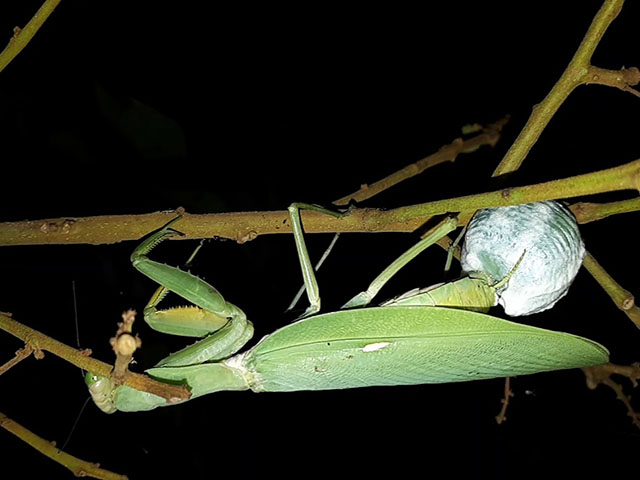 So với mọi người