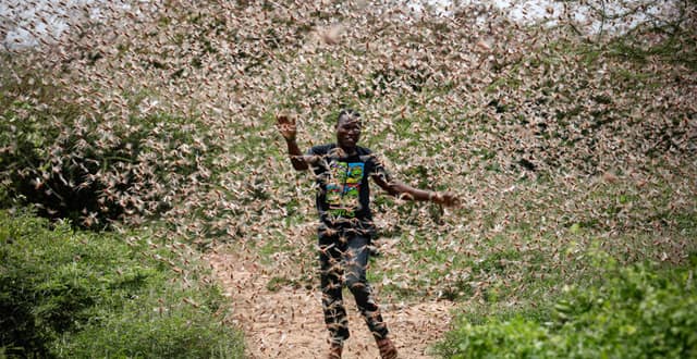 Đừng thay thế cái giữa