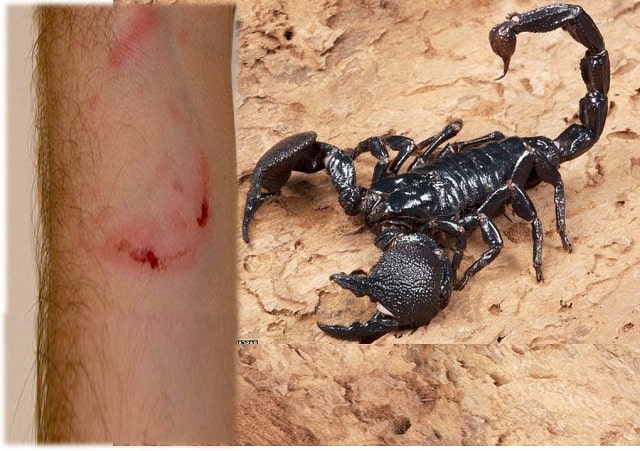 Mọi người đều biết đây là gì